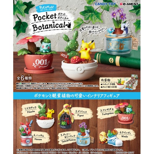 Pokemon - Pocket Botanical -Random Character-