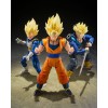 Dragon Ball Z - S.H. Figuarts Super Saiyan Vegeta (Dangerous Pride) 14cm (EU)