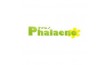Manufacturer - Phalaeno